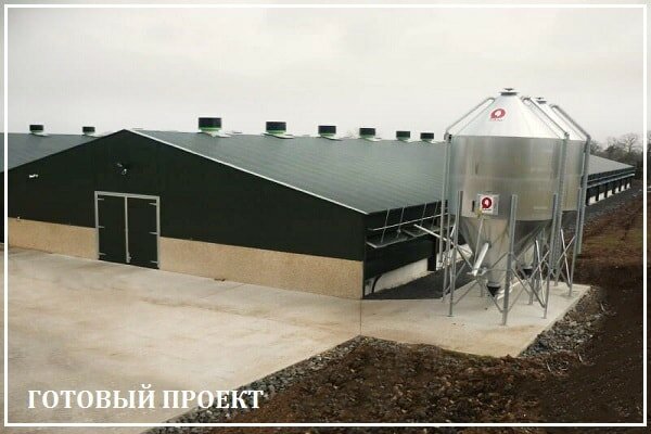 Этапы возведения птицефабрики от завода ВелесТент-кгп
